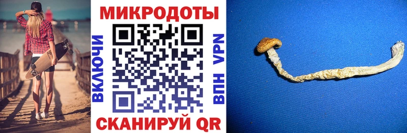 Галлюциногенные грибы мицелий  как найти наркотики  Шарыпово 