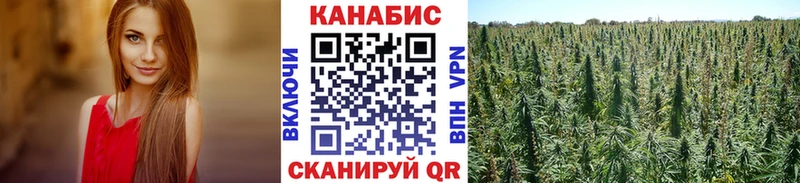 Бошки Шишки SATIVA & INDICA  Шарыпово 